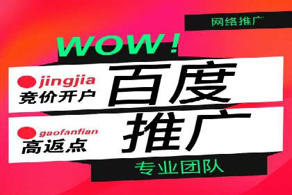 SEM推广策略：成功案例解析与效果评估
